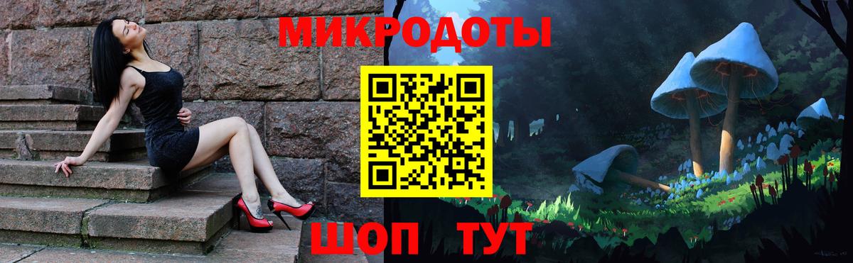 Псилоцибиновые грибы Psilocybine cubensis Волгоград